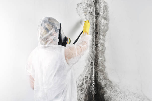 Best Water damage restoration process  in USA